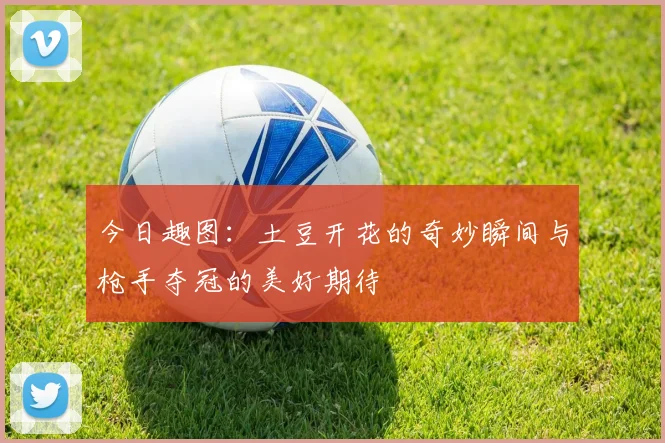 今日趣图：土豆开花的奇妙瞬间与枪手夺冠的美好期待