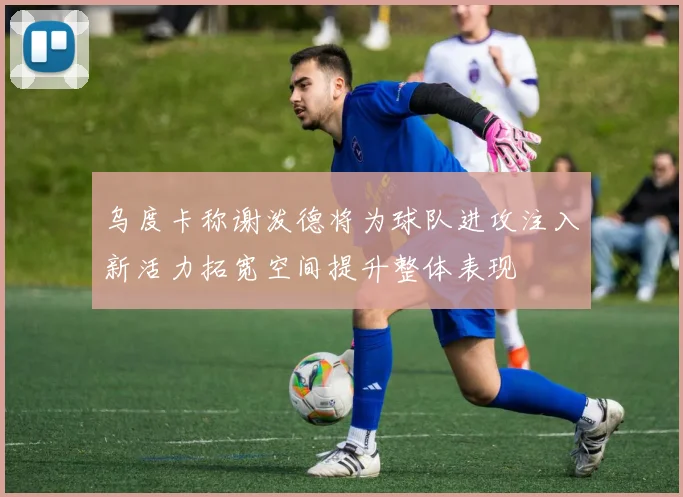 乌度卡称谢泼德将为球队进攻注入新活力拓宽空间提升整体表现