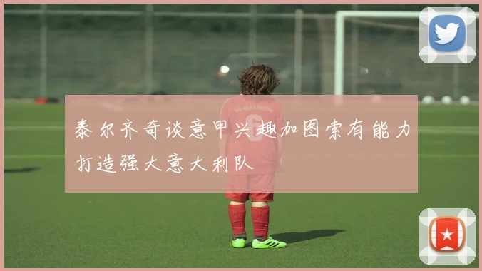 泰尔齐奇谈意甲兴趣加图索有能力打造强大意大利队